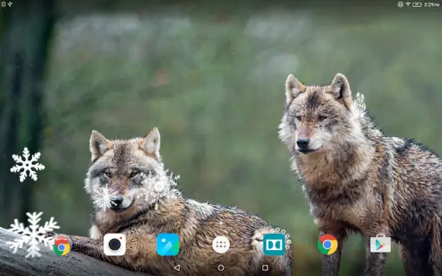 Wolf Live Wallpaper android App screenshot 0