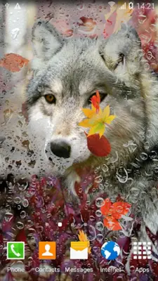 Wolf Live Wallpaper android App screenshot 5