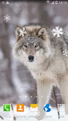 Wolf Live Wallpaper android App screenshot 8